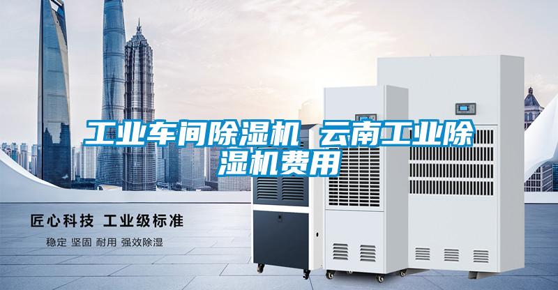 工業車間除濕機 云南工業除濕機費用