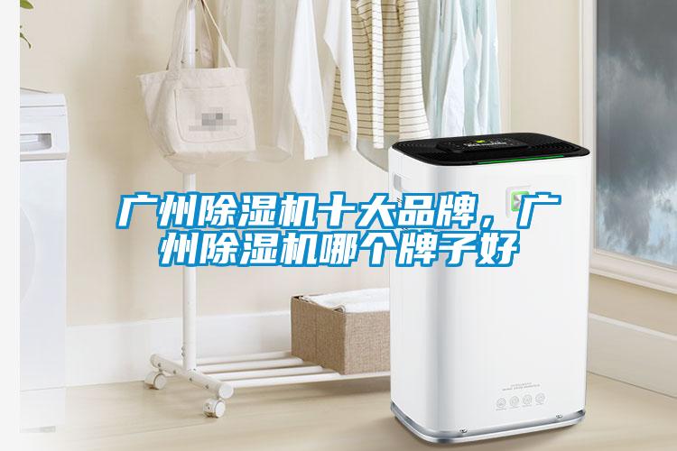 廣州除濕機(jī)十大品牌，廣州除濕機(jī)哪個(gè)牌子好