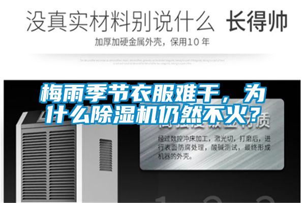 梅雨季節衣服難干，為什么除濕機仍然不火？