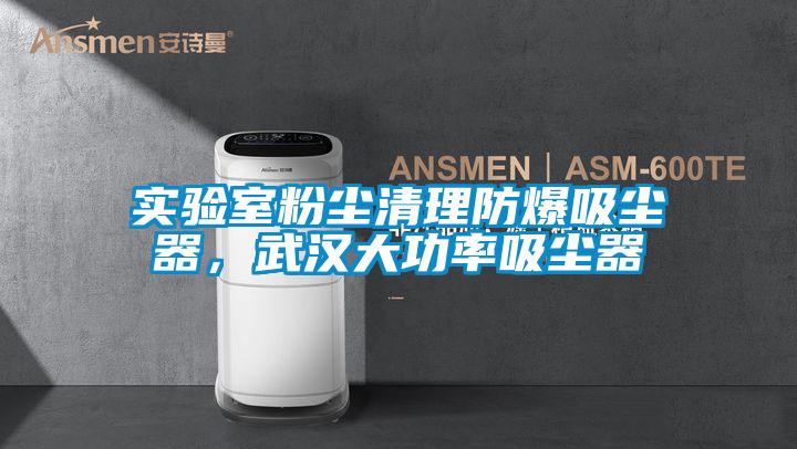 實驗室粉塵清理防爆吸塵器，武漢大功率吸塵器