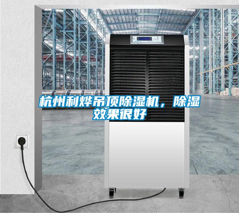 杭州利燁吊頂除濕機，除濕效果很好