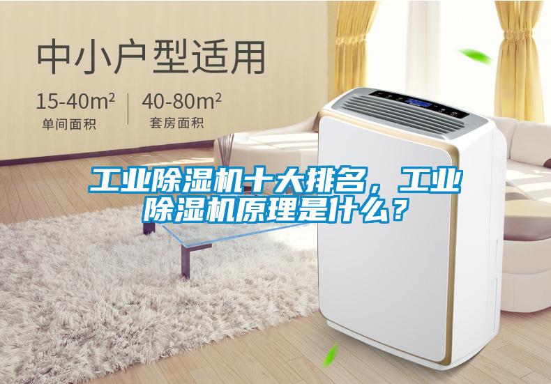 工業除濕機十大排名，工業除濕機原理是什么？