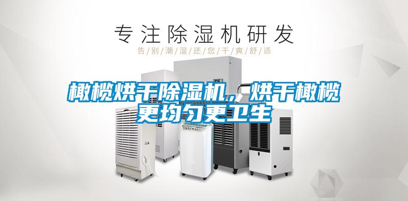 橄欖烘干除濕機，烘干橄欖更均勻更衛生