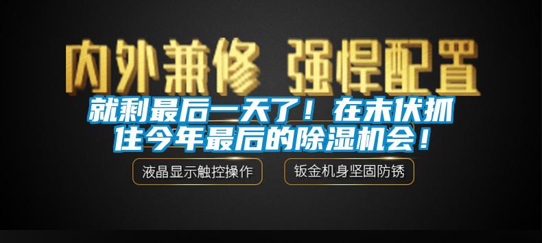 就剩最后一天了！在末伏抓住今年最后的除濕機(jī)會(huì)！