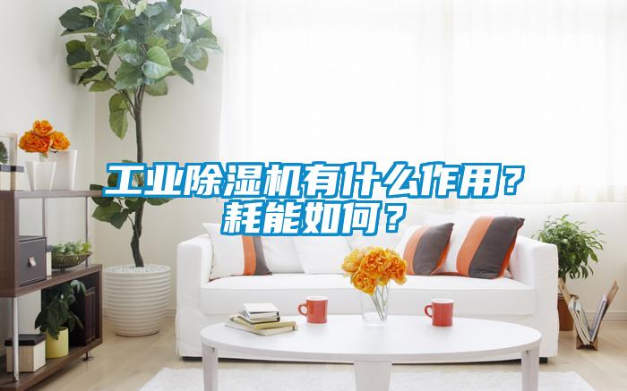 工業(yè)除濕機(jī)有什么作用？耗能如何？