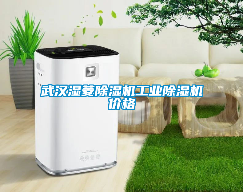 武漢濕菱除濕機工業除濕機價格