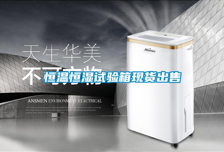恒溫恒濕試驗箱現貨出售