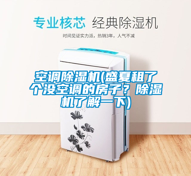 空調(diào)除濕機(jī)(盛夏租了個(gè)沒(méi)空調(diào)的房子？除濕機(jī)了解一下)