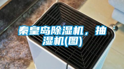 秦皇島除濕機(jī)，抽濕機(jī)(圖)