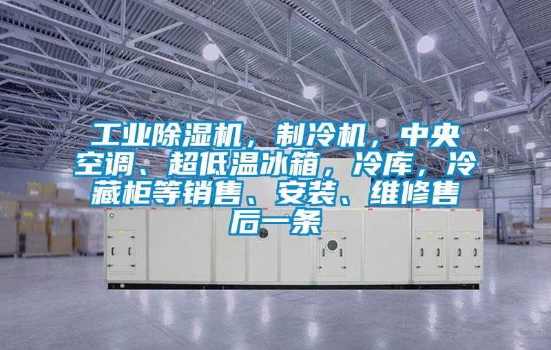 工業除濕機，制冷機，中央空調、超低溫冰箱，冷庫，冷藏柜等銷售、安裝、維修售后一條