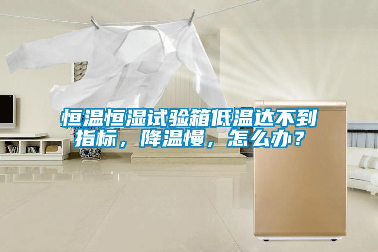 恒溫恒濕試驗箱低溫達(dá)不到指標(biāo)，降溫慢，怎么辦？