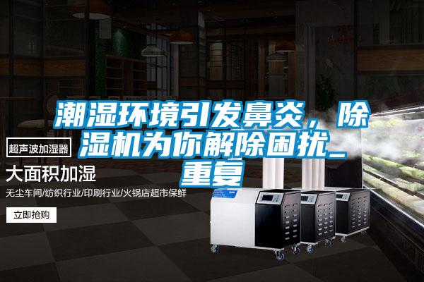 潮濕環境引發鼻炎，除濕機為你解除困擾_重復