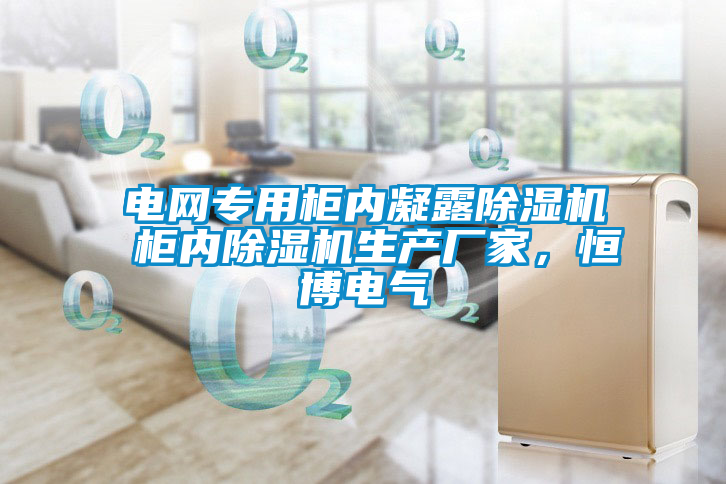 電網(wǎng)專用柜內(nèi)凝露除濕機 柜內(nèi)除濕機生產(chǎn)廠家，恒博電氣