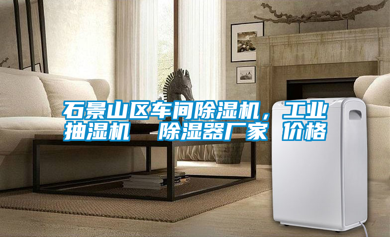 石景山區(qū)車間除濕機(jī)，工業(yè)抽濕機(jī)  除濕器廠家 價(jià)格