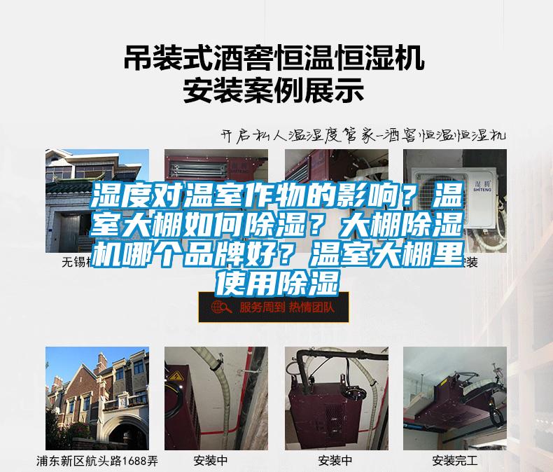 濕度對溫室作物的影響？溫室大棚如何除濕？大棚除濕機哪個品牌好？溫室大棚里使用除濕