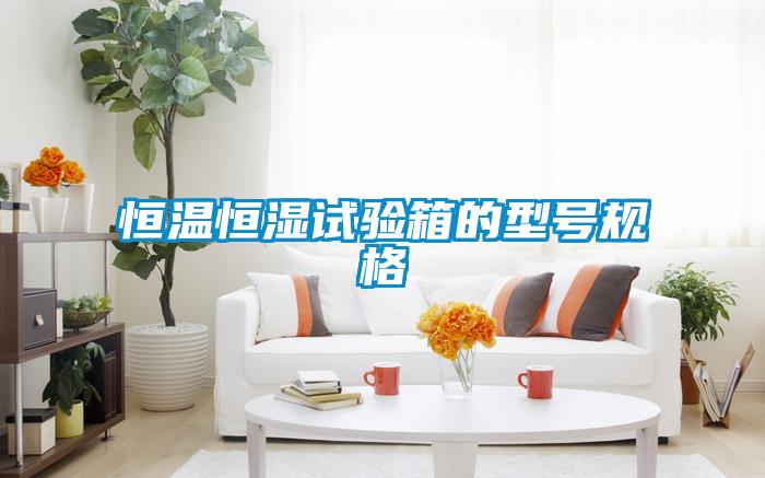 恒溫恒濕試驗箱的型號規格