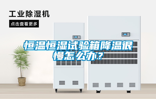 恒溫恒濕試驗箱降溫很慢怎么辦？