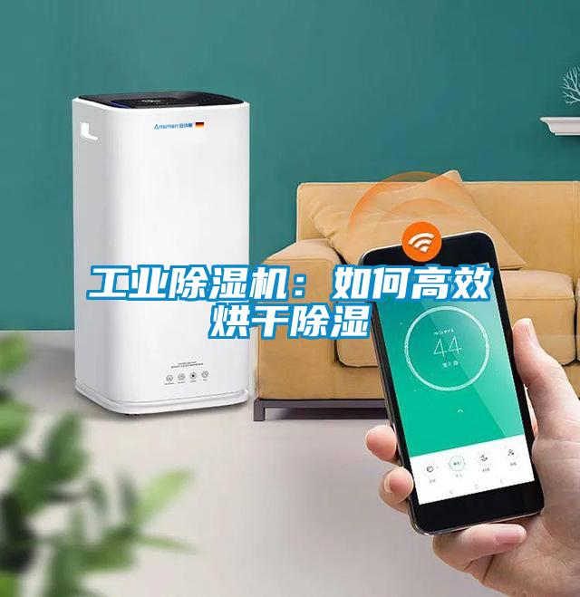 工業除濕機：如何高效烘干除濕