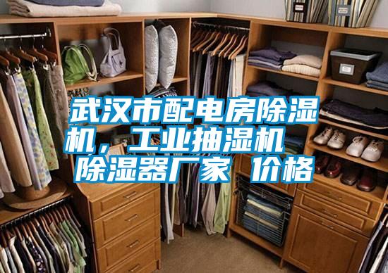 武漢市配電房除濕機(jī)，工業(yè)抽濕機(jī)  除濕器廠家 價(jià)格