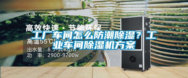 工廠車間怎么防潮除濕？工業車間除濕機方案
