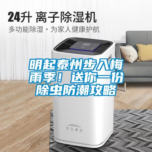 明起泰州步入梅雨季！送你一份除蟲防潮攻略