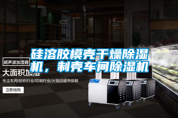 硅溶膠模殼干燥除濕機(jī)，制殼車間除濕機(jī)