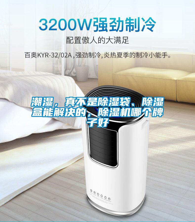 潮濕，真不是除濕袋、除濕盒能解決的，除濕機哪個牌子好