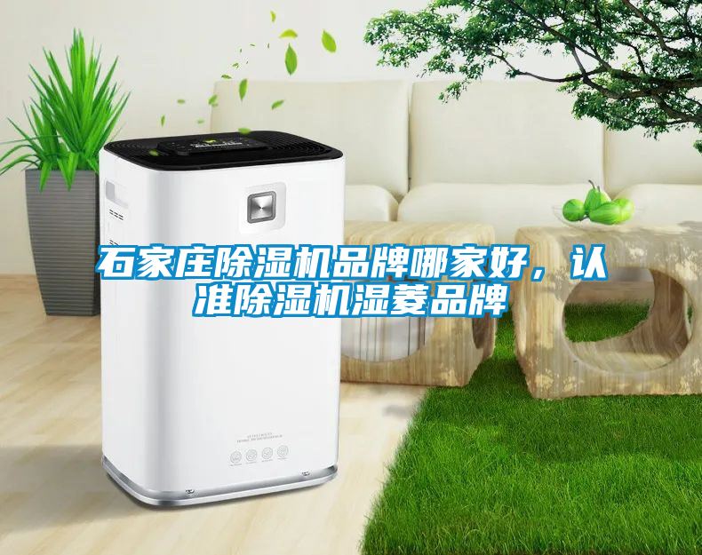 石家莊除濕機(jī)品牌哪家好，認(rèn)準(zhǔn)除濕機(jī)濕菱品牌