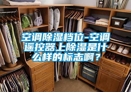 空調除濕檔位-空調遙控器上除濕是什么樣的標志啊？