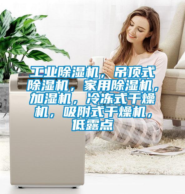 工業除濕機，吊頂式除濕機，家用除濕機，加濕機，冷凍式干燥機，吸附式干燥機，低露點