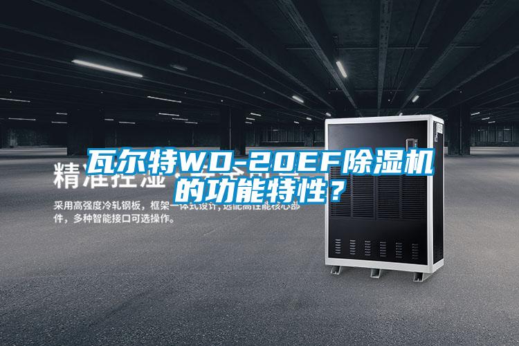 瓦爾特WD-20EF除濕機(jī)的功能特性？