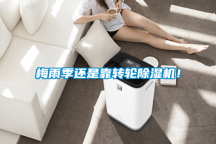 梅雨季還是靠轉(zhuǎn)輪除濕機(jī)！