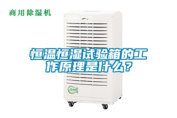 恒溫恒濕試驗箱的工作原理是什么?