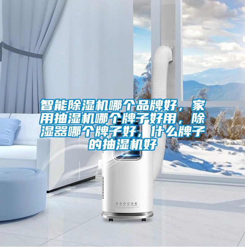智能除濕機哪個品牌好，家用抽濕機哪個牌子好用，除濕器哪個牌子好，什么牌子的抽濕機好