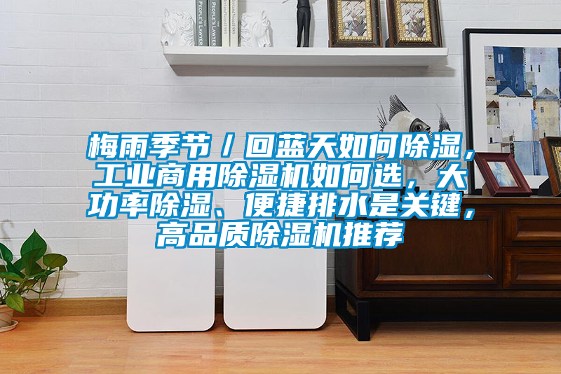 梅雨季節／回藍天如何除濕，工業商用除濕機如何選，大功率除濕、便捷排水是關鍵，高品質除濕機推薦