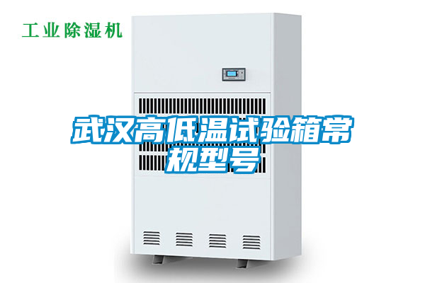 武漢高低溫試驗箱常規型號