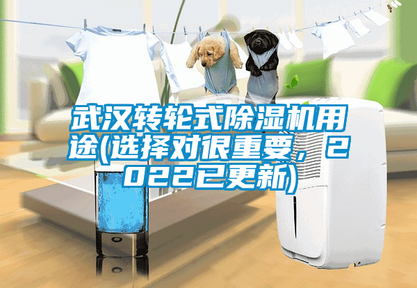 武漢轉(zhuǎn)輪式除濕機(jī)用途(選擇對很重要，2022已更新)