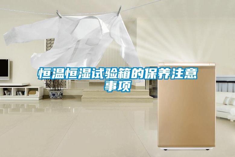 恒溫恒濕試驗箱的保養注意事項