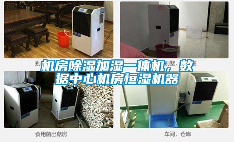 機房除濕加濕一體機，數據中心機房恒濕機器