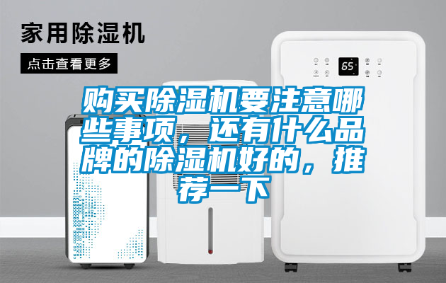 購(gòu)買(mǎi)除濕機(jī)要注意哪些事項(xiàng)，還有什么品牌的除濕機(jī)好的，推薦一下