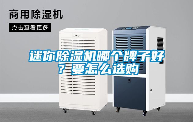 迷你除濕機(jī)哪個(gè)牌子好？要怎么選購(gòu)