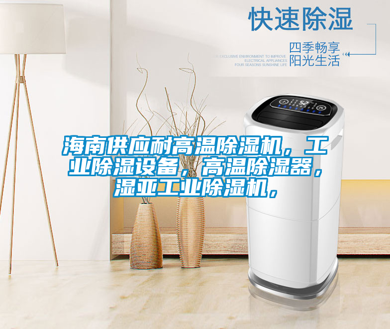 海南供應(yīng)耐高溫除濕機(jī)，工業(yè)除濕設(shè)備，高溫除濕器，濕亞工業(yè)除濕機(jī)，