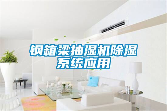 鋼箱梁抽濕機除濕系統應用