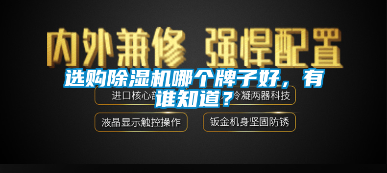 選購除濕機哪個牌子好，有誰知道？
