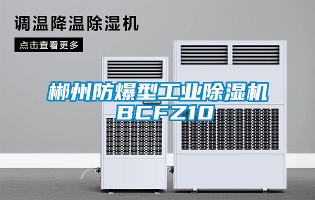 郴州防爆型工業除濕機 BCFZ10