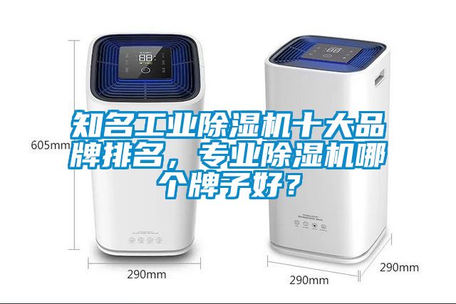 知名工業(yè)除濕機十大品牌排名，專業(yè)除濕機哪個牌子好？