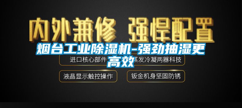 煙臺工業除濕機-強勁抽濕更高效