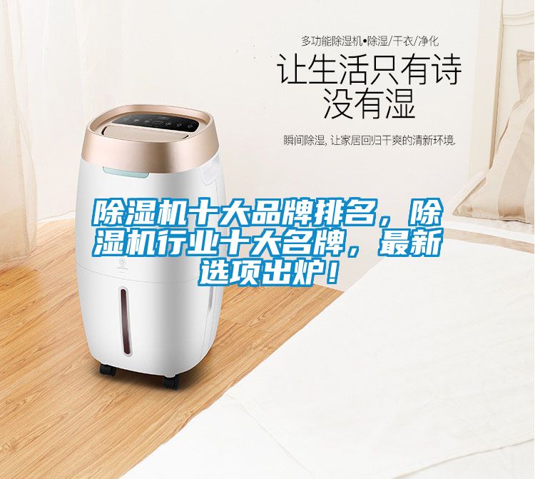 除濕機十大品牌排名，除濕機行業十大名牌，最新選項出爐！