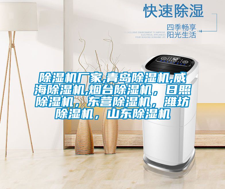 除濕機廠家,青島除濕機,威海除濕機,煙臺除濕機，日照除濕機，東營除濕機，濰坊除濕機，山東除濕機