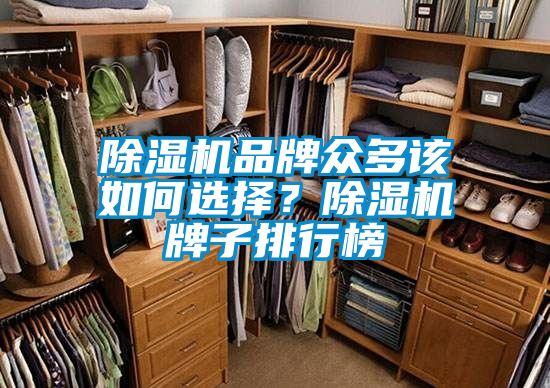 除濕機品牌眾多該如何選擇？除濕機牌子排行榜